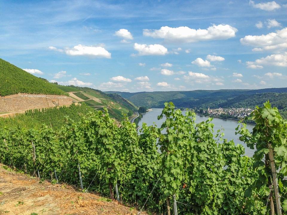 Deutschlands coolste Weine ausgezeichne