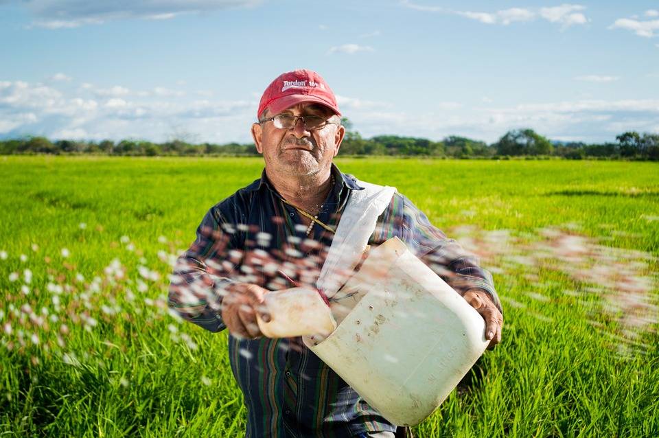 Ausgaben für Lebensmittel: Was bleibt den Bauern? Foto:Topfgucker-TV