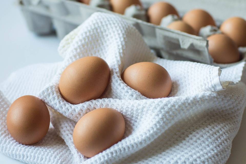 Muss man Eier im Kühlschrank aufbewahren? Foto:Topfgucker-TV