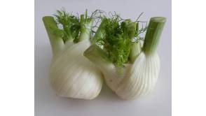 Maroni-Fenchel-Pastete Maroni-Fenchel-Pastete
