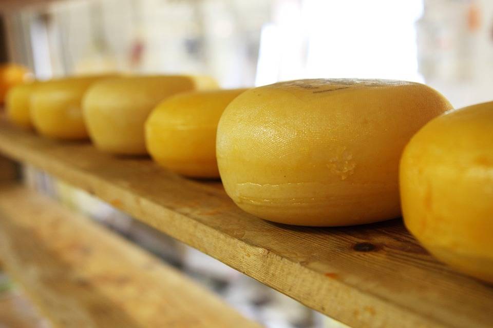 Käse ist nicht immer vegetarisch: VEBU veröffentlicht Labliste