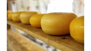 Käse ist nicht immer vegetarisch: VEBU veröffentlicht Labliste