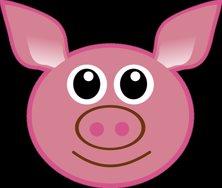 Regionaler Warenrückruf „Schweineunterschale  mit Schwarte“ (Bedienware, lose) 
