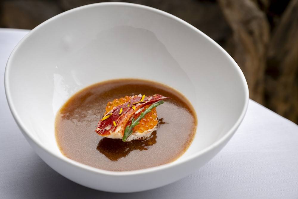 Restaurant MONTE FOOD: Lobster bisque, fennel, lobster meat, roe