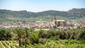 Mallorca: Einzigartige Öko-Weine in den Restaurants Fera (Palma) und Yara (Puerto Portals) Mallorca: Einzigartige Öko-Weine in den Restaurants Fera (Palma) und Yara (Puerto Portals)