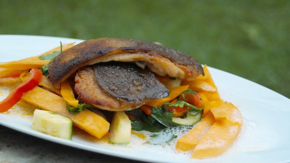 Saftiges und grätenfreies Karpfenfilet aus der Lausitz