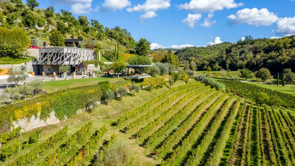 Weingut Kozlovic