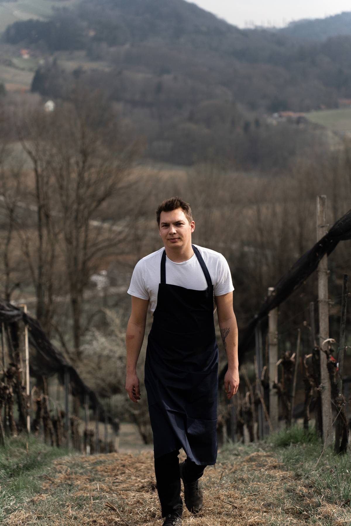 Genießerhotel und Weingut Sattlerhof Markus SAttler im Weingarten 