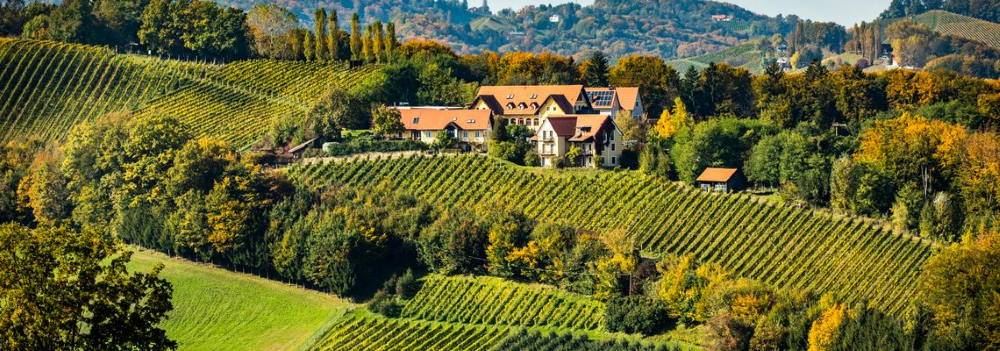 Genießerhotel und Weingut Sattlerhof
